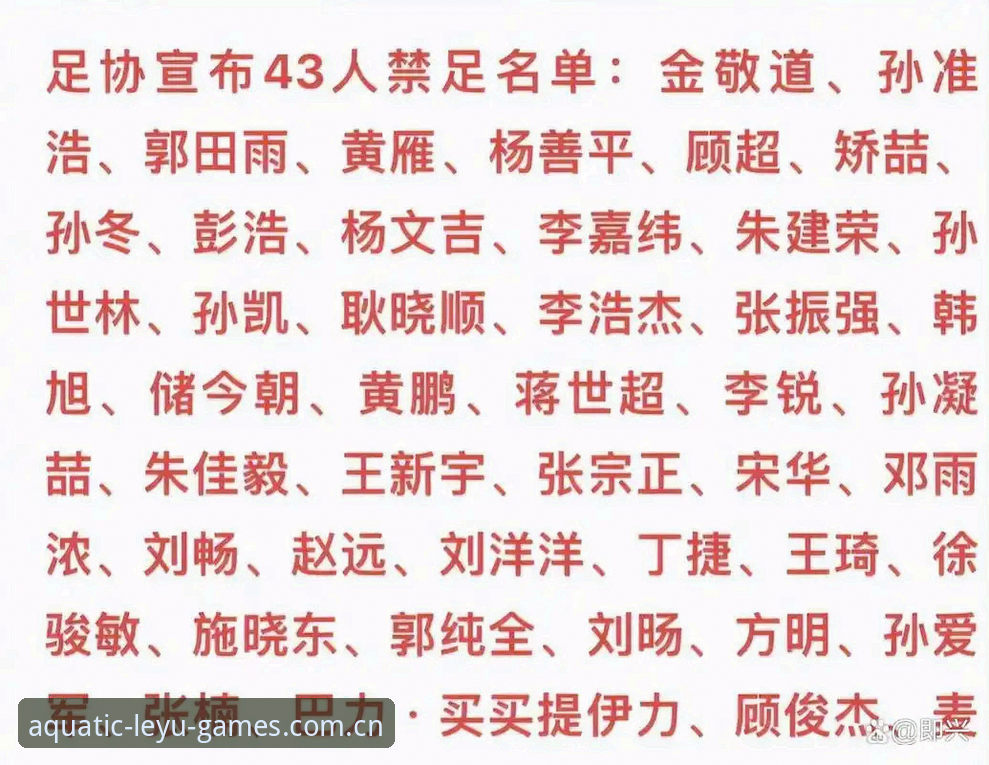足协第三批禁足名单深度评测：乐鱼体育平台新手查阅赛事合规信息体验报告